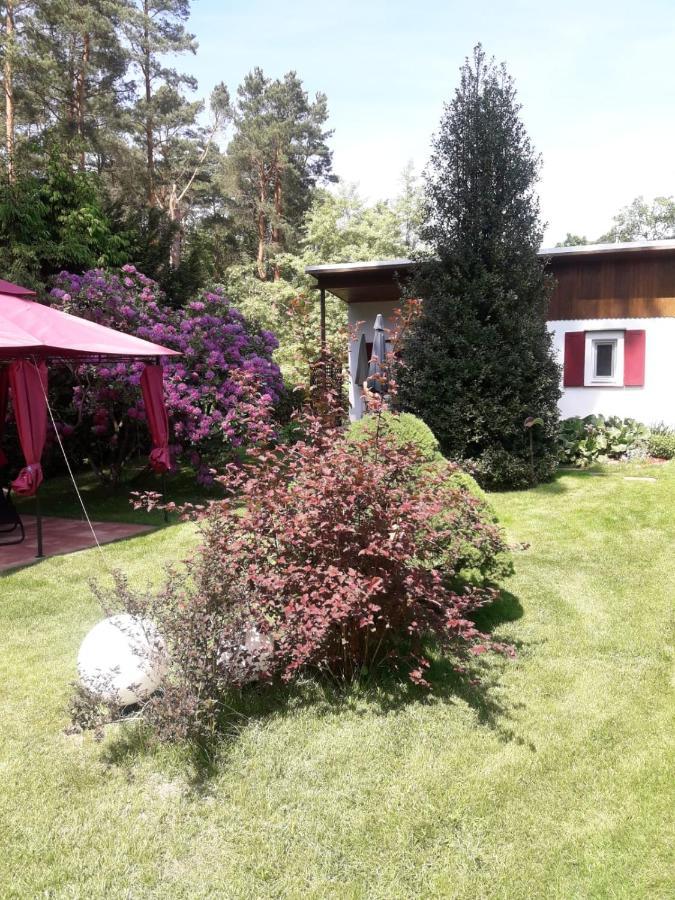 Ferienhaus Am Langen See Heidesee Esterno foto